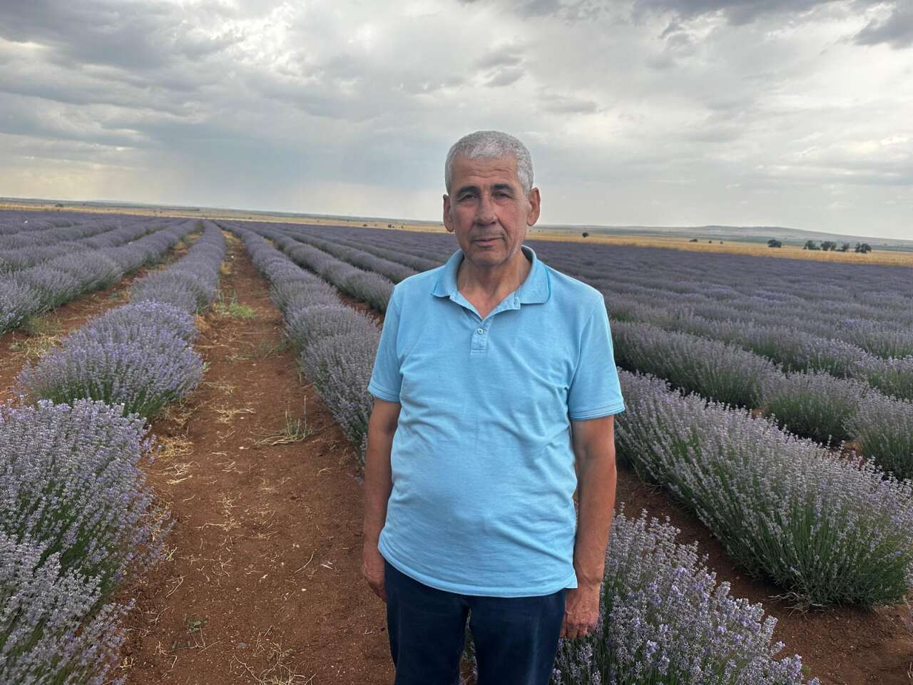 Kurak araziler mor tarlalara dönüştü! Konya Türkiye'de ilk 5'e girdi 6